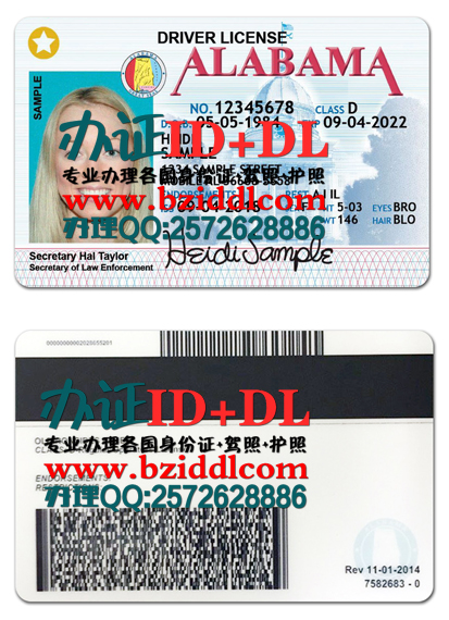 美国阿拉巴马州驾驶执照,Alabama Driving Licence,