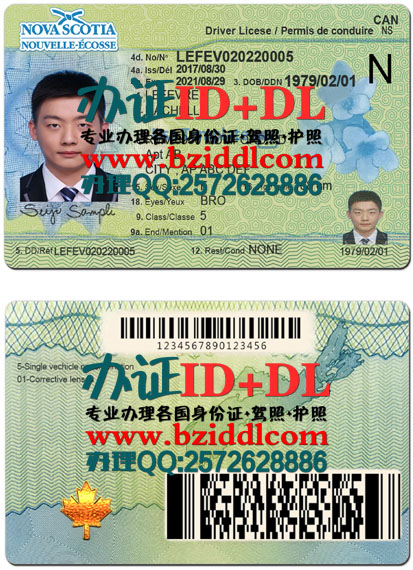 办新斯科舍省驾照，Nova Scotia Driver's License，加拿大诺瓦斯克舍省驾照样本，哈利法克斯驾照，悉尼驾照样本