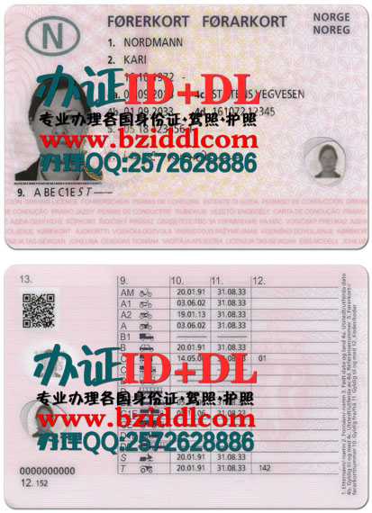 办挪威驾照,Norsk førerkort,Norwegian driving license,办挪威真实驾照,出售挪威驾驶执照PSD模板,购买挪威驾照,挪威驾照翻译,挪威驾照换中国驾照,在线制作挪威电子版驾照,挪威驾照补办,挪威驾照样本