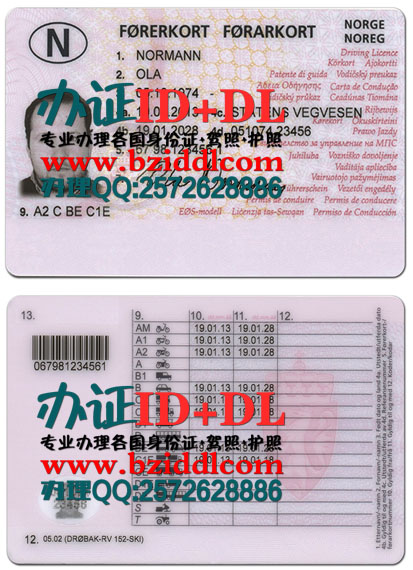 办挪威驾照,Norsk førerkort,Norwegian driving license需要提供以下资料: