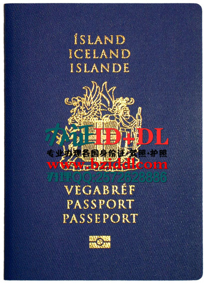 办冰岛护照,Iceland passport,Vegabréf Íslands需要提供以下资料: