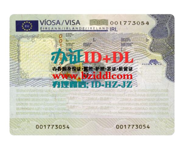 爱尔兰签证PSD模板,Ireland Visa PSD Template