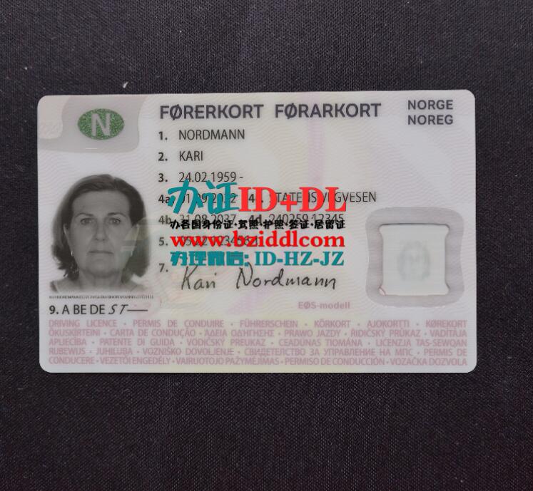 办挪威驾驶执照2023年最新样本,Norwegian driving license 2023 latest sample