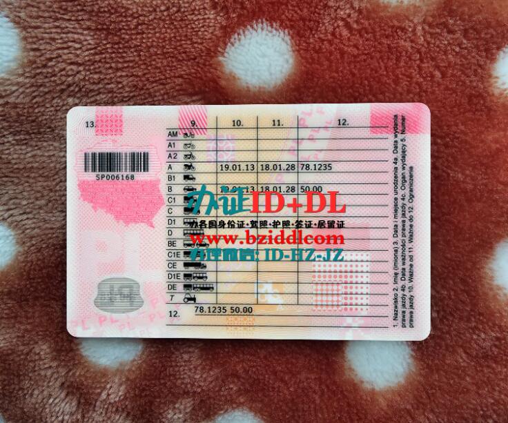 办2019年最新波兰驾照,The latest Polish driver's license in 2019
