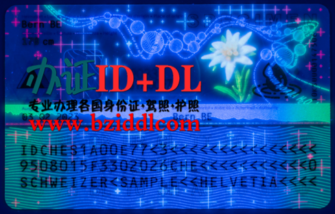 怎么办理荷兰高仿身份证,办荷兰真实身份证,办荷兰带芯片身份证