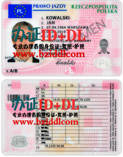 哪里能办波兰驾照,办波兰带芯片驾照,办波兰高仿驾照